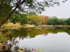 -番禺大夫山森林公园