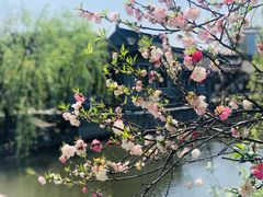 -水绘园