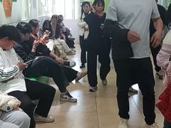 -学知乐教育·幼小衔接·小学科辅导(嘉定镇校区)