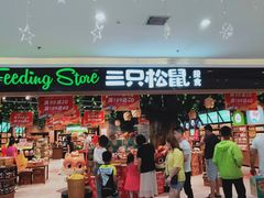 门面-三只松鼠