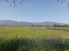 -野鸭湖国家湿地公园