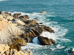 -广东惠东海龟国家级自然保护区
