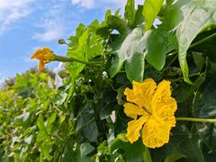 -上海日海酒店-停车场