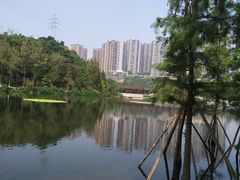 -重庆彩云湖湿地公园