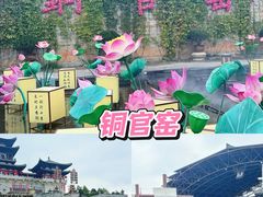 -长沙黑麋峰国家森林公园
