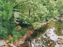 -白马涧龙池景区