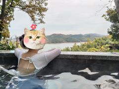 -天目湖涵田半山温泉水乐园