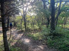 -长春市南湖公园