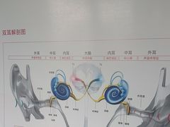 -宁耳听力助听器奥迪康·峰力·西门子(宝山店)