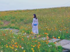 -紫颐香薰山谷景区