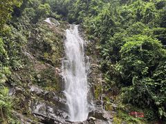 -鼎湖山风景区