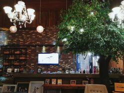 -WPlus明星肖像亲子全家福摄影