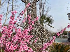 -郑州中国绿化博览园