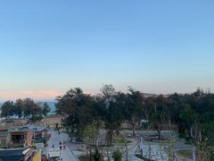 -坛南湾阿强农家乐.海鲜大排档老字号(福州地标美食店)