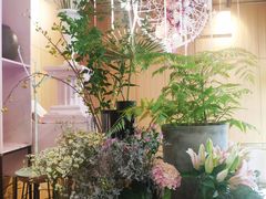 -蝶舍·MAISON PAPILLON