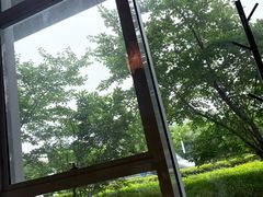 -中国书法大厦日本料理