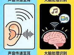 -自然之声助听器(平凉店)
