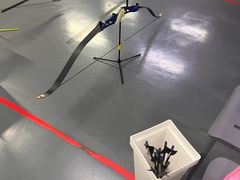 -蓝天射箭馆·专业射箭运动(诚丰广场店)