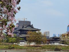 -海珠湖公园