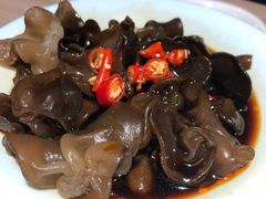 -探窝·竹笙椰子鸡(杨箕店)