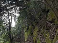 -缙云山景区
