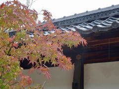 景点-京都御所