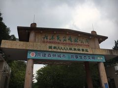 -广东茂名森林公园