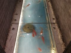 -芝麻花餐厅(祁家豁子店)