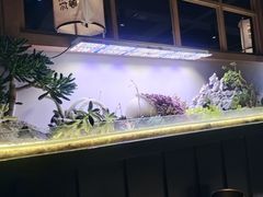 -街角等你.大连海鲜烧烤.经典铁板海鲜串(西安路店)