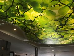 -祥记·苏帮菜·松鼠桂鱼(湖畔天城店)
