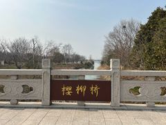 -南湖湿地公园