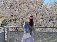 -IKEA宜家家居(南京商场)