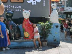 -猫街饭团(顶澳仔猫街店)