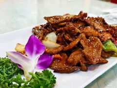 -宝发园名菜馆