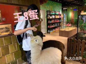 和我的小男孩去看小动物啦