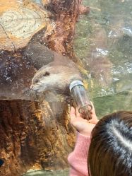 -Zoolung Zoolung动物主题公园(海信广场店)