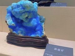 -安徽省地质博物馆
