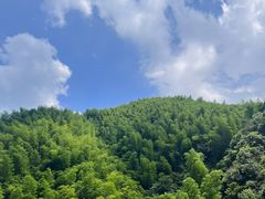 -将军关探险漂流