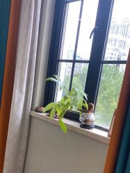 -禾丽康美医疗美容医院