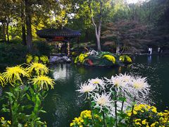 -杭州植物园
