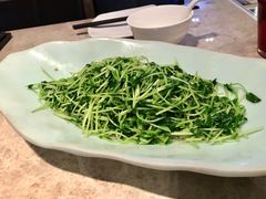 清炒豆苗-106餐厅(山水文园店)