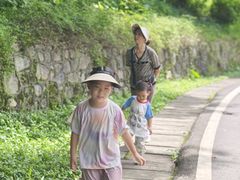 -火炉山森林公园