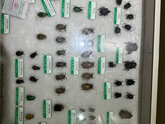 -石家庄市动物园