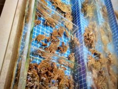 -星伦多自助料理·涮烤一体(杭州来福士店)