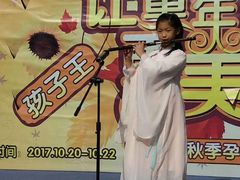 -皇家茱莉亚艺术明星训练基地