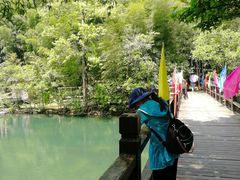 -祁门牯牛降观音堂风景区