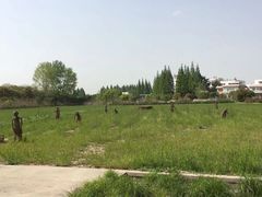 -嘉北郊野公园
