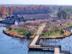 -上海海湾国家森林公园