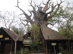 -奥兰多迪士尼动物王国乐园