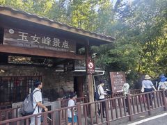 -武夷山风景名胜区-玉女峰